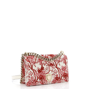 Toile De Jouy Diorama Flap Bag Printed Embroidered Leather Small