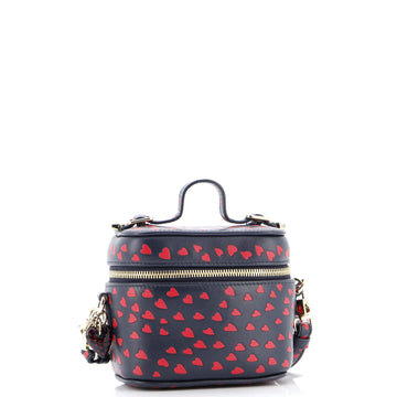 Lady Dior Vanity Case Printed Leather Micro