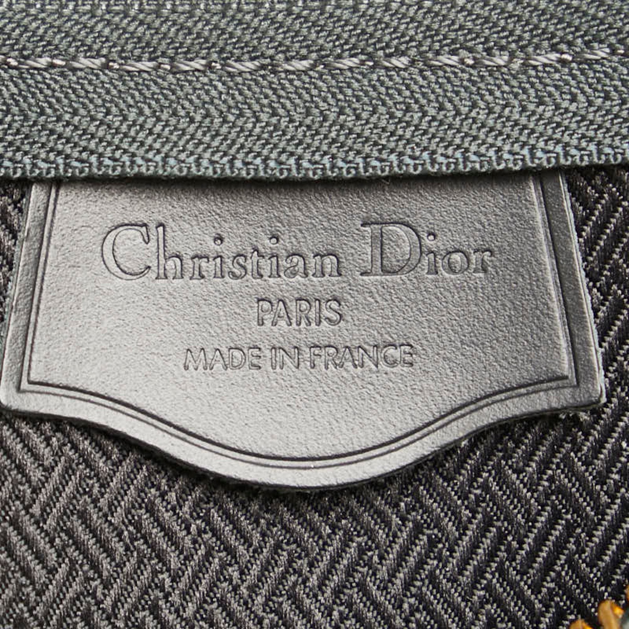 Dior Trotter