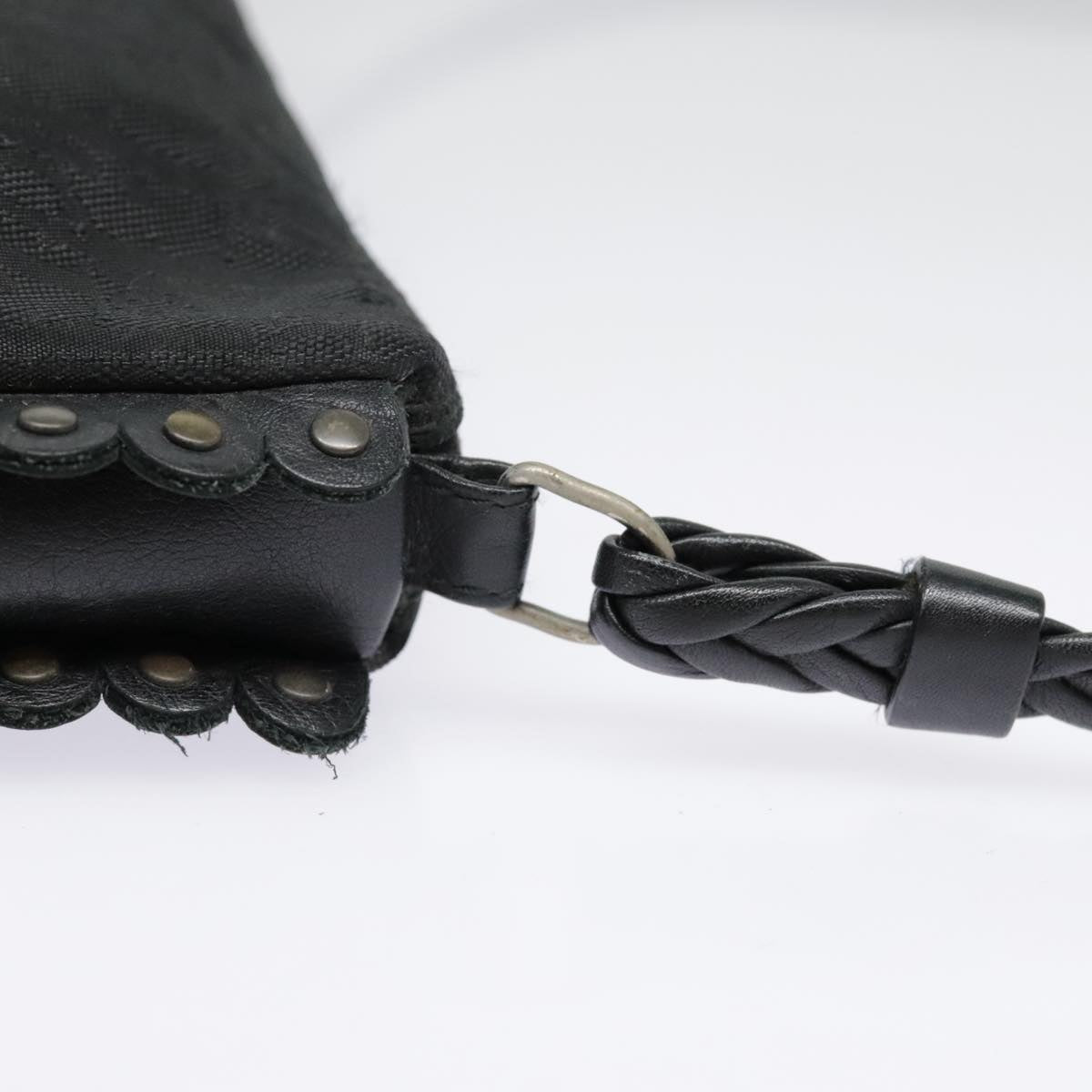 Dior Trotter