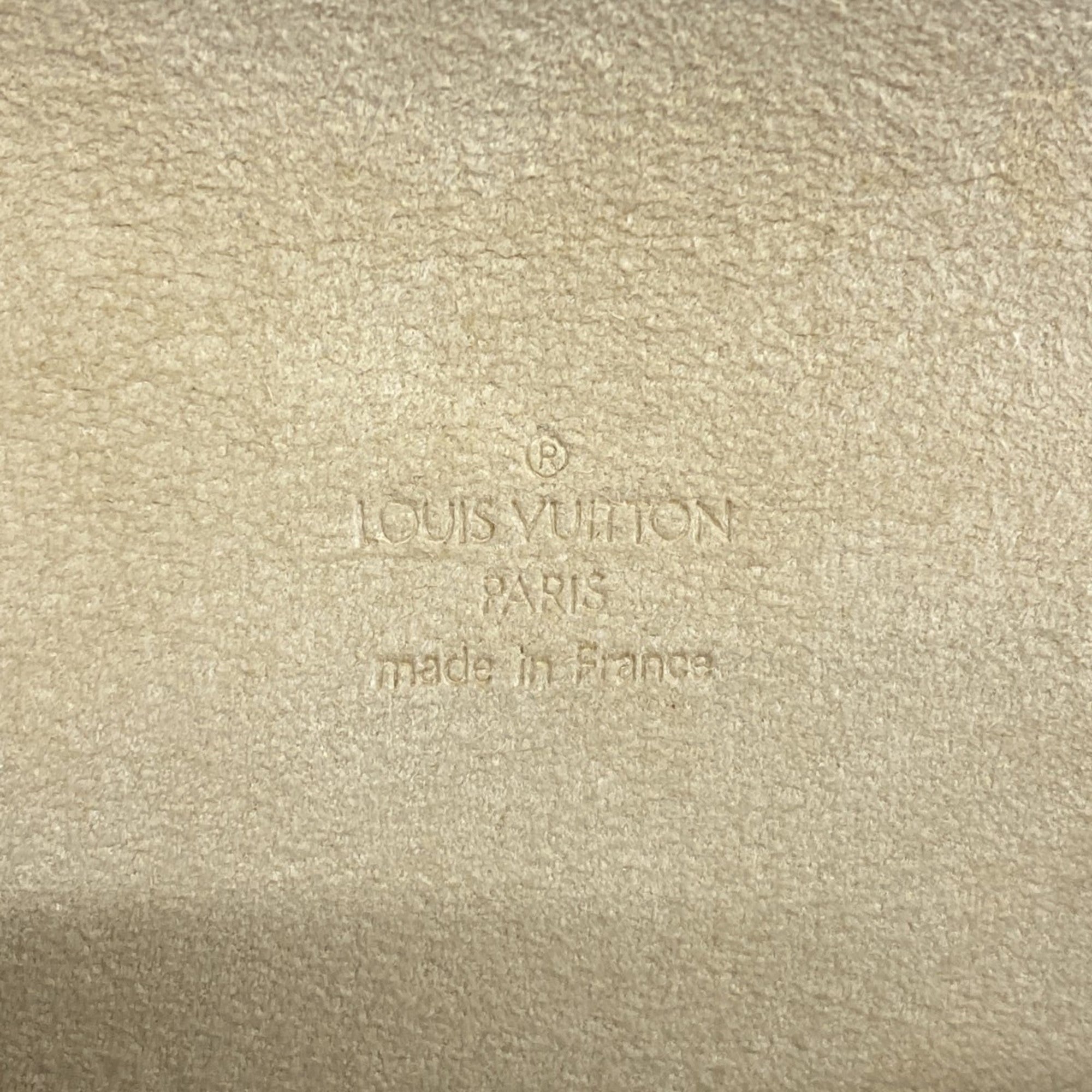 Louis Vuitton Florentine