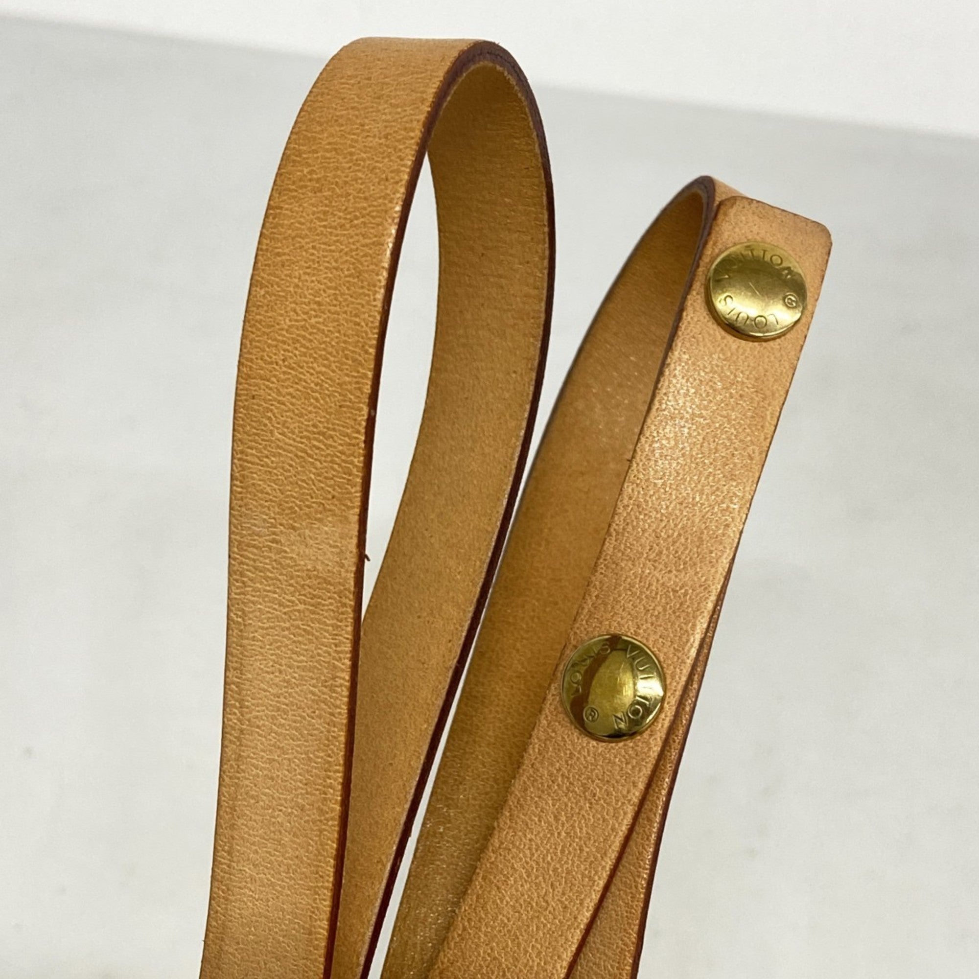 Louis Vuitton Florentine