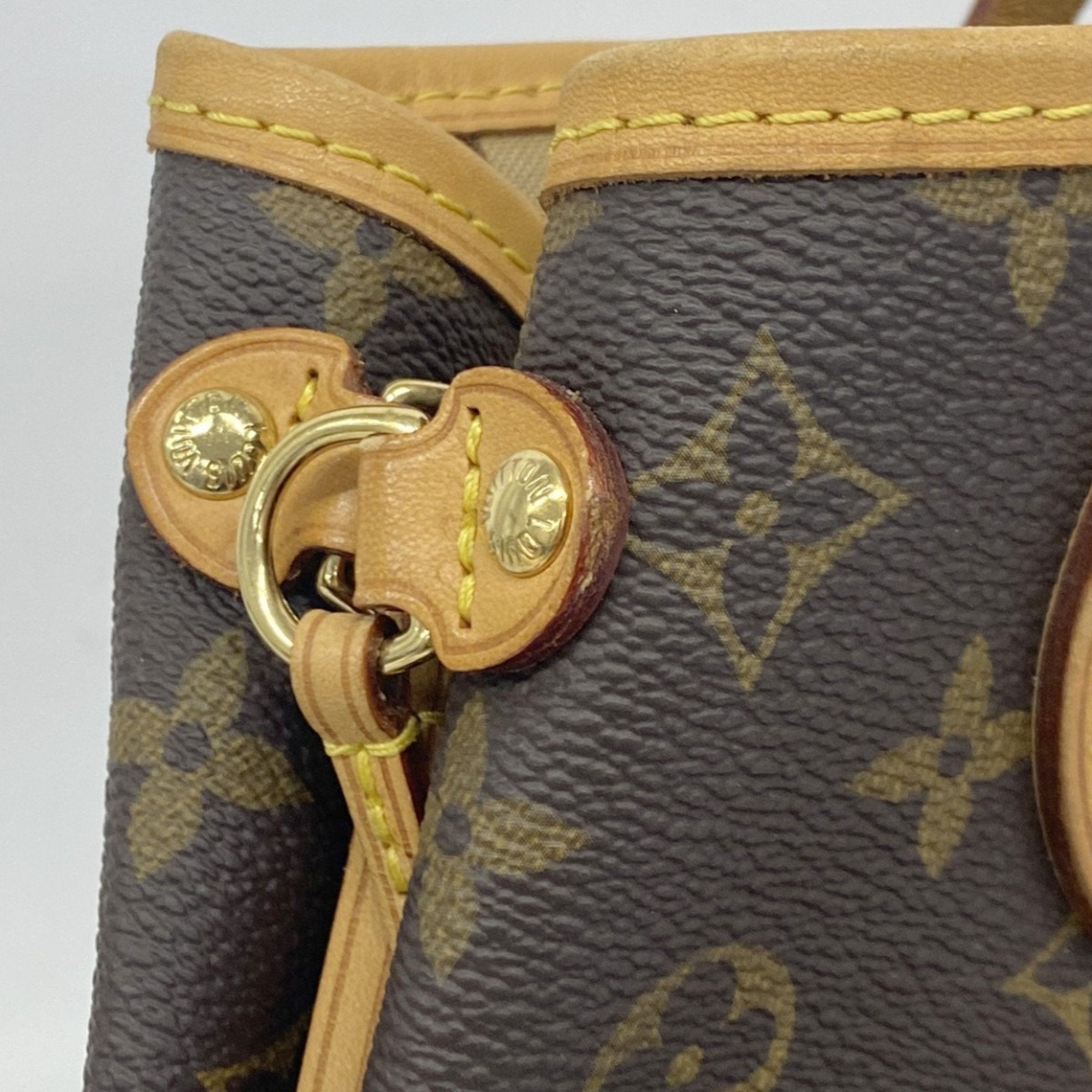 Louis Vuitton Neverfull Pm