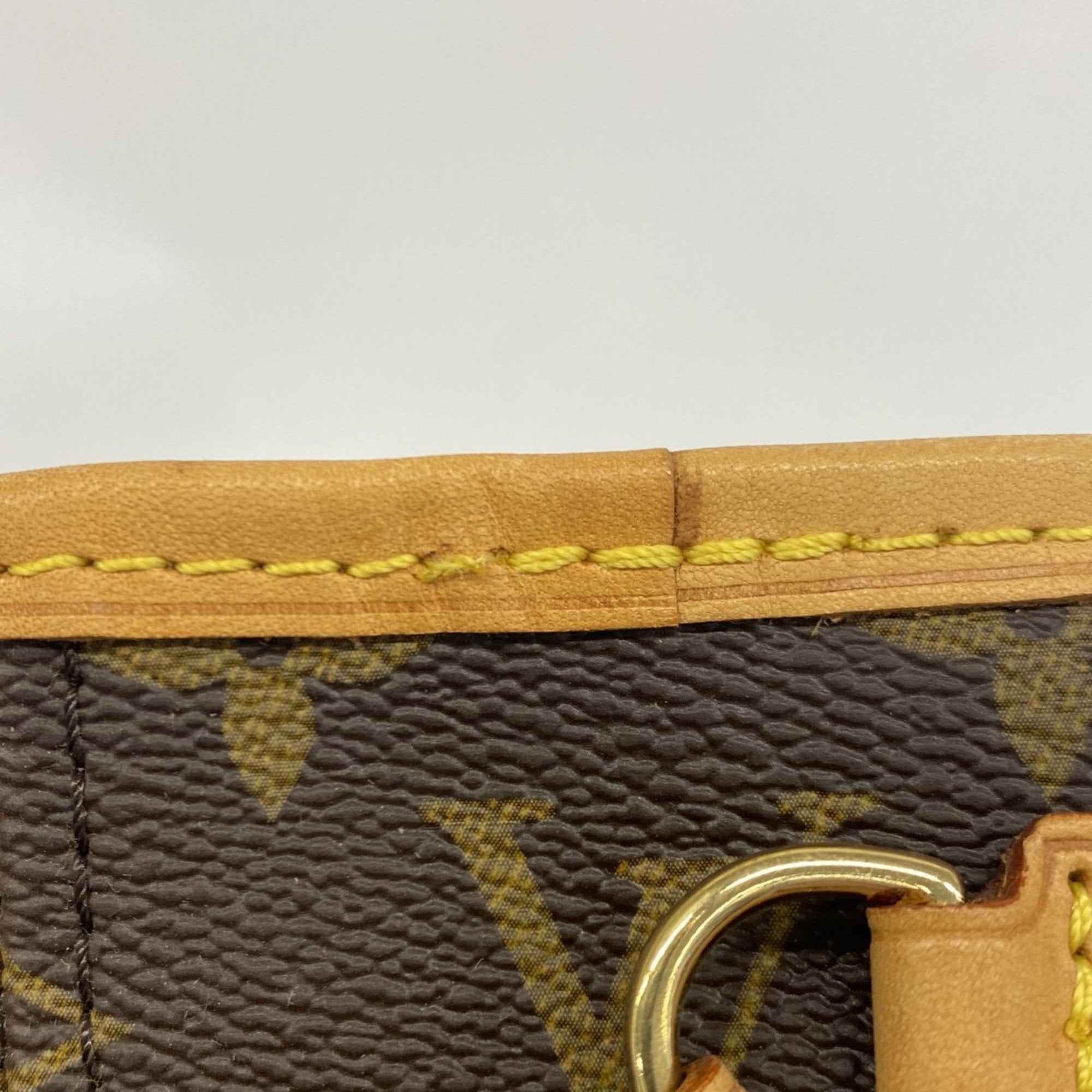 Louis Vuitton Neverfull Pm