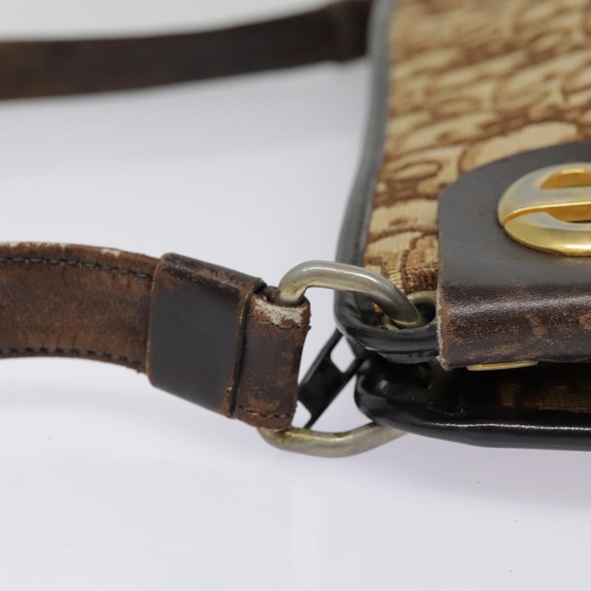 Dior Trotter