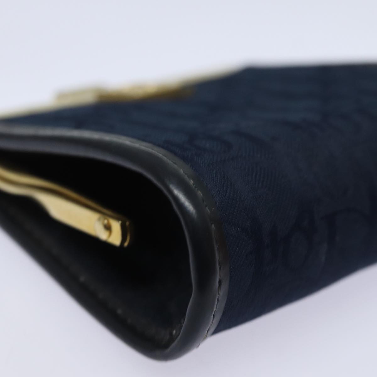 Dior Trotter