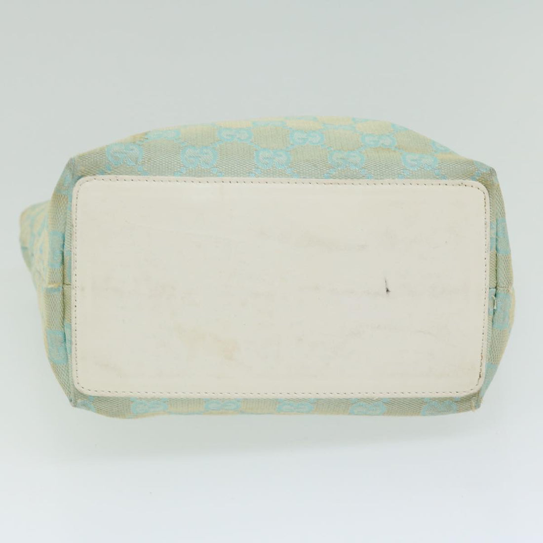 Gucci Gg Canvas