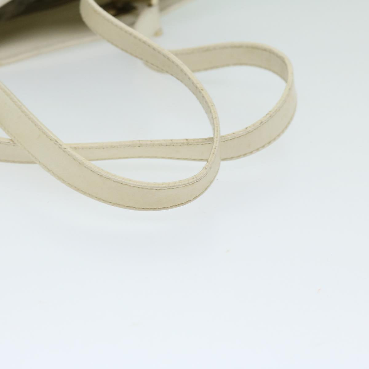 Gucci Gg Canvas