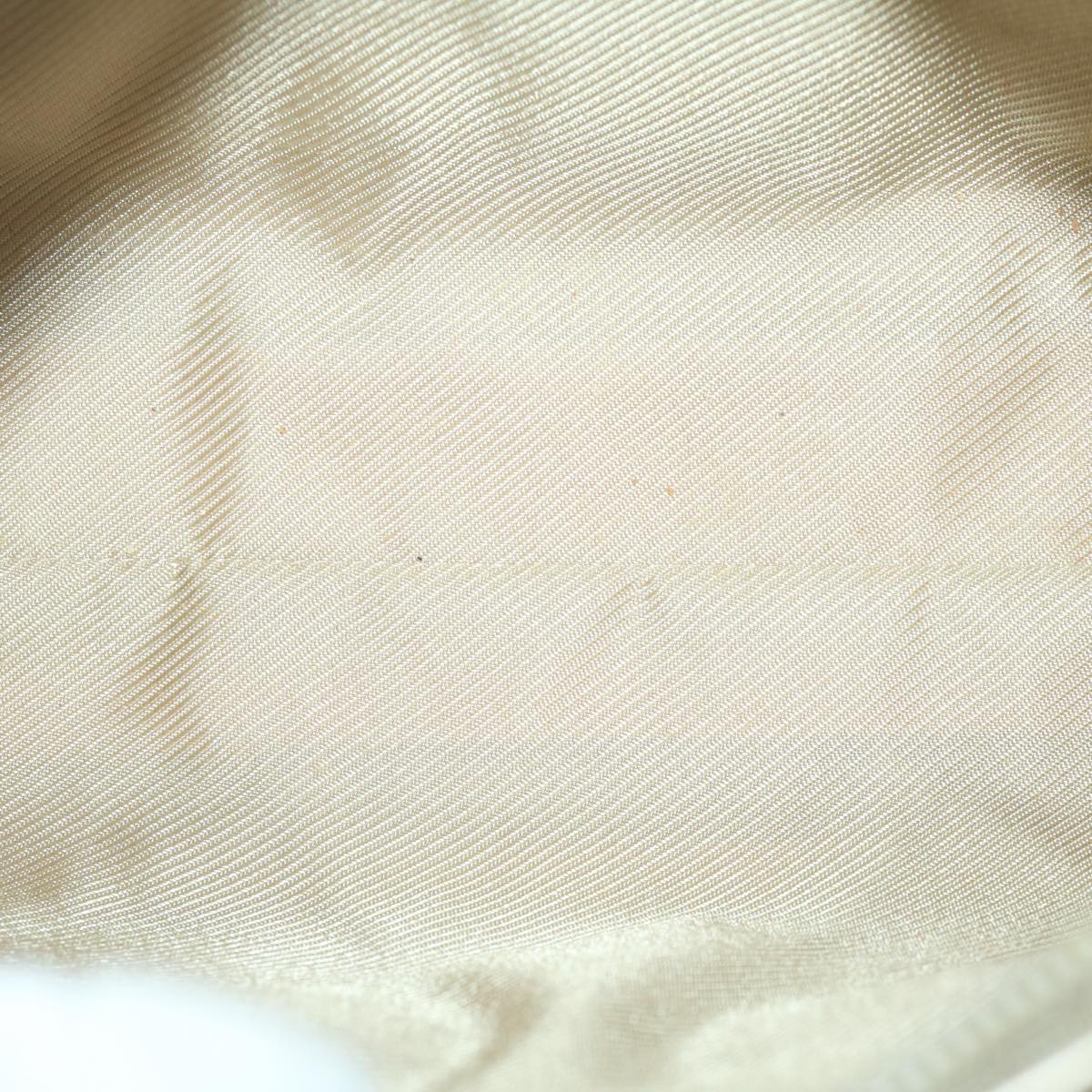 Gucci Gg Canvas