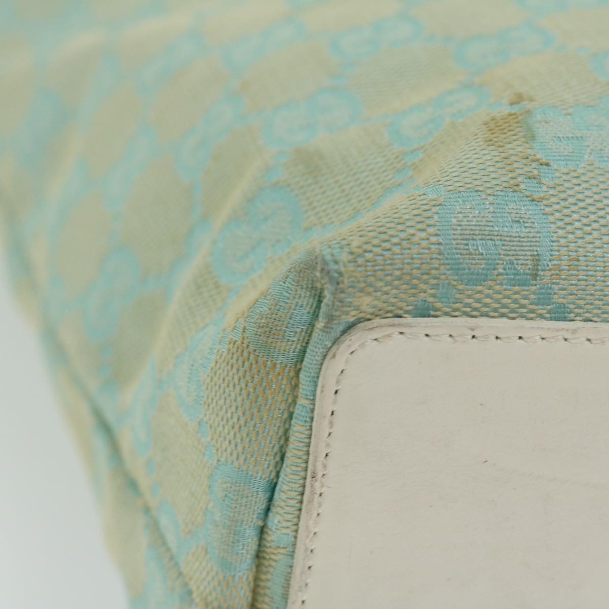 Gucci Gg Canvas