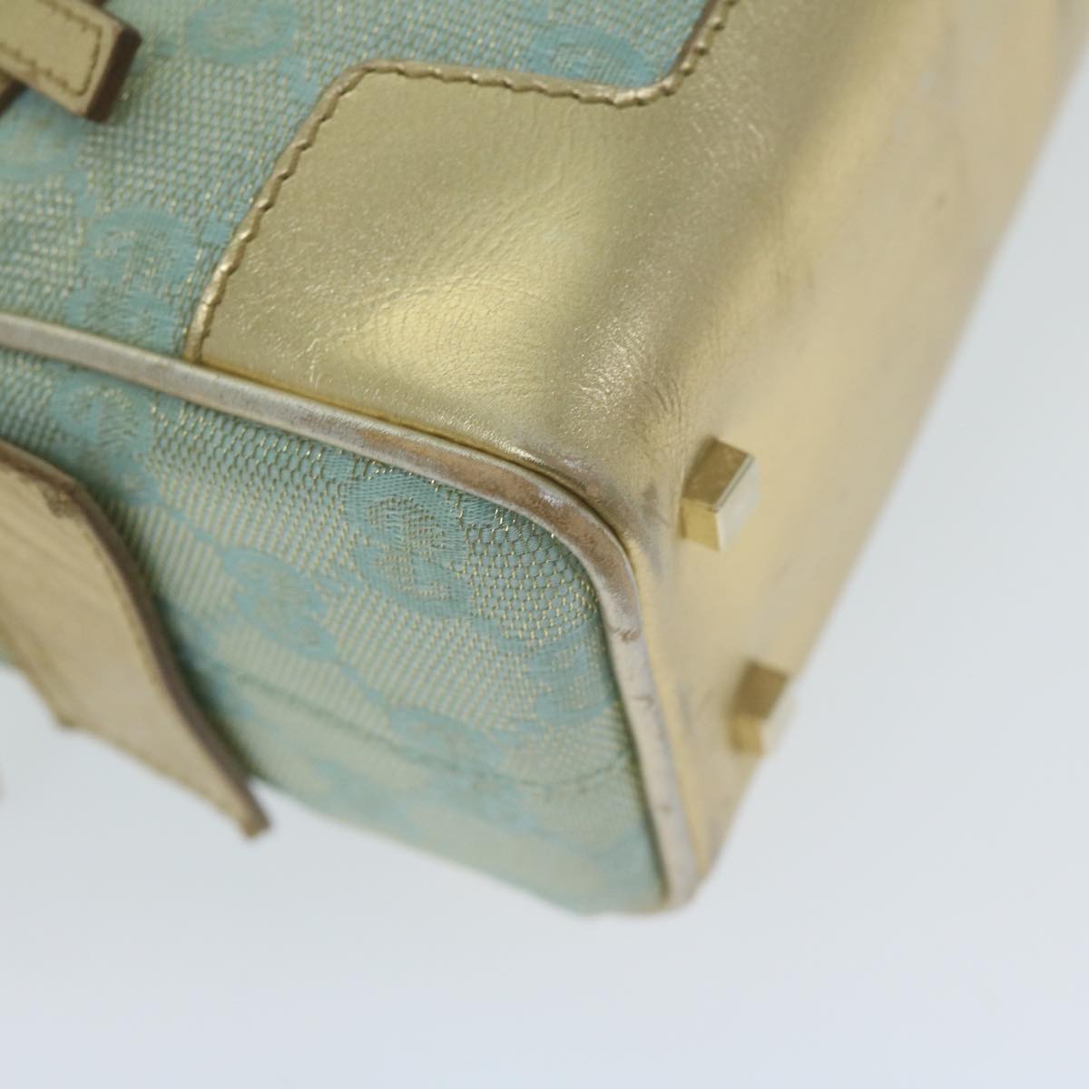 Gucci Gg Canvas