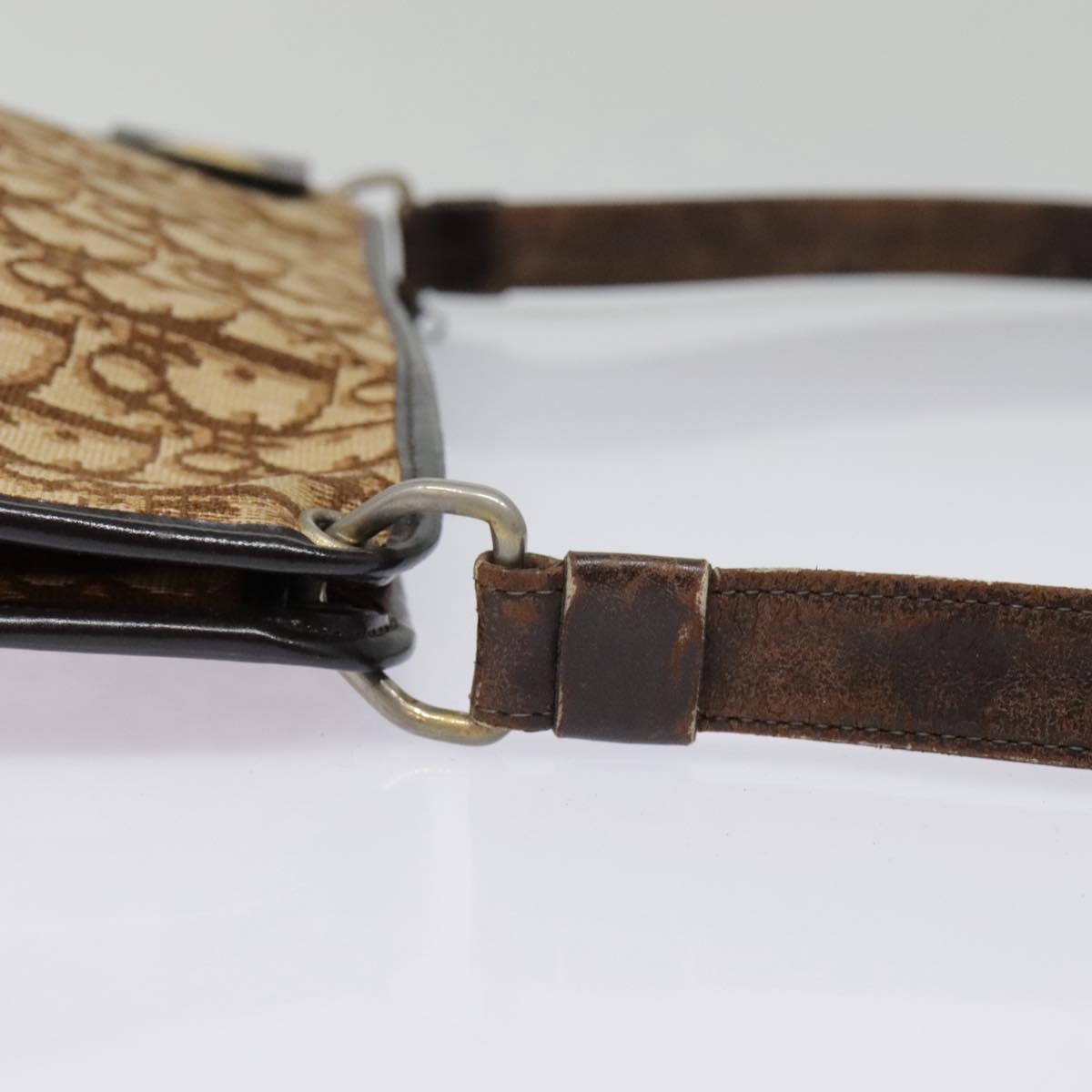 Dior Trotter