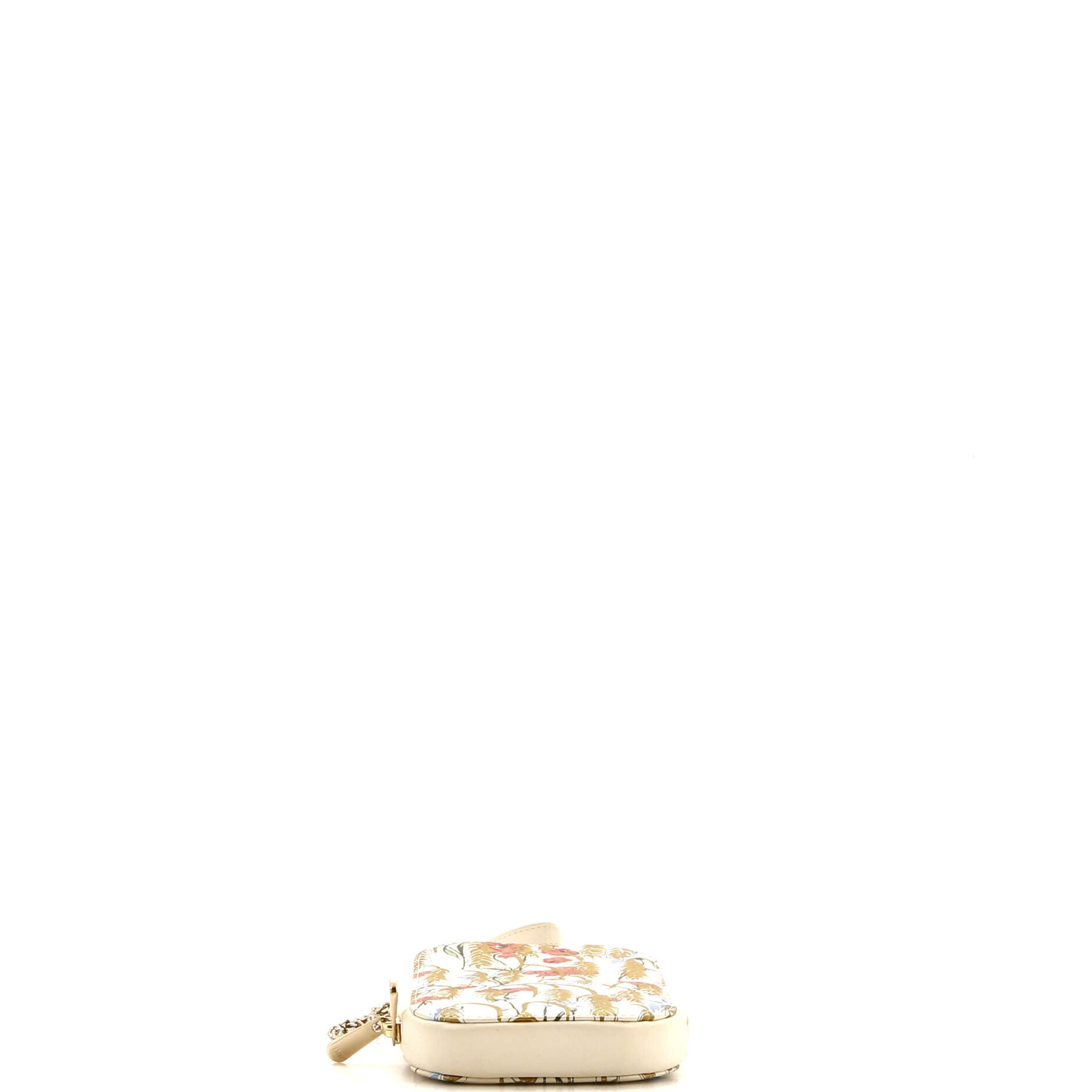 Lady Dior Phone Holder On Chain Printed Leather