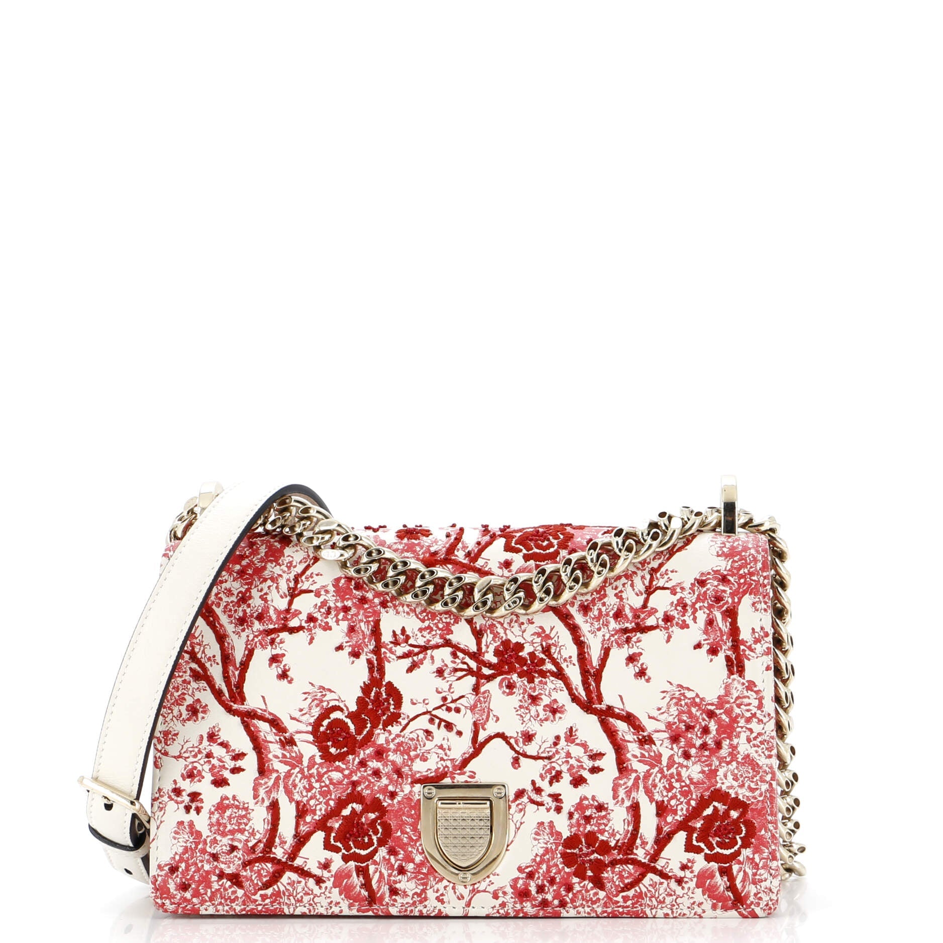 Toile De Jouy Diorama Flap Bag Printed Embroidered Leather Small