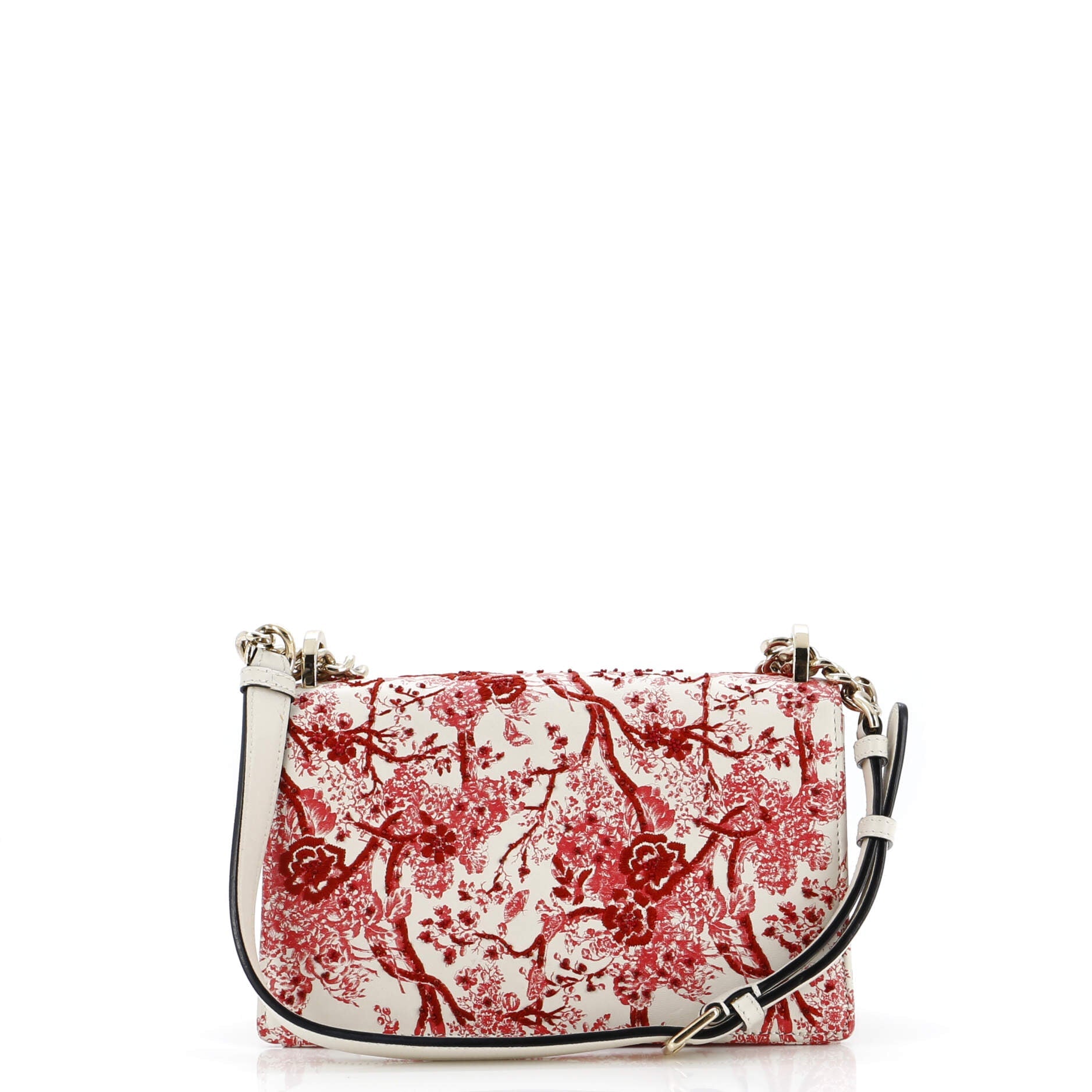 Toile De Jouy Diorama Flap Bag Printed Embroidered Leather Small