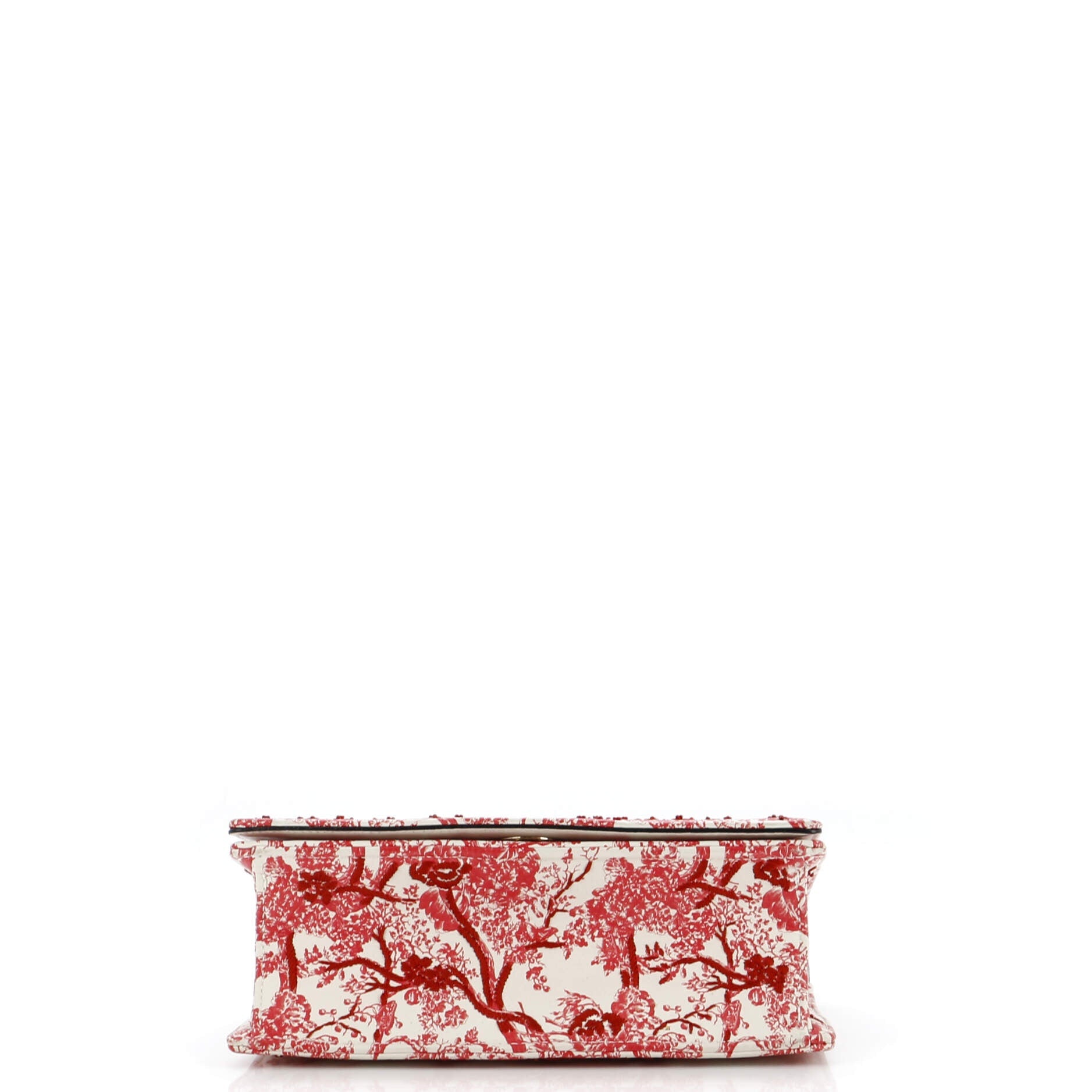 Toile De Jouy Diorama Flap Bag Printed Embroidered Leather Small