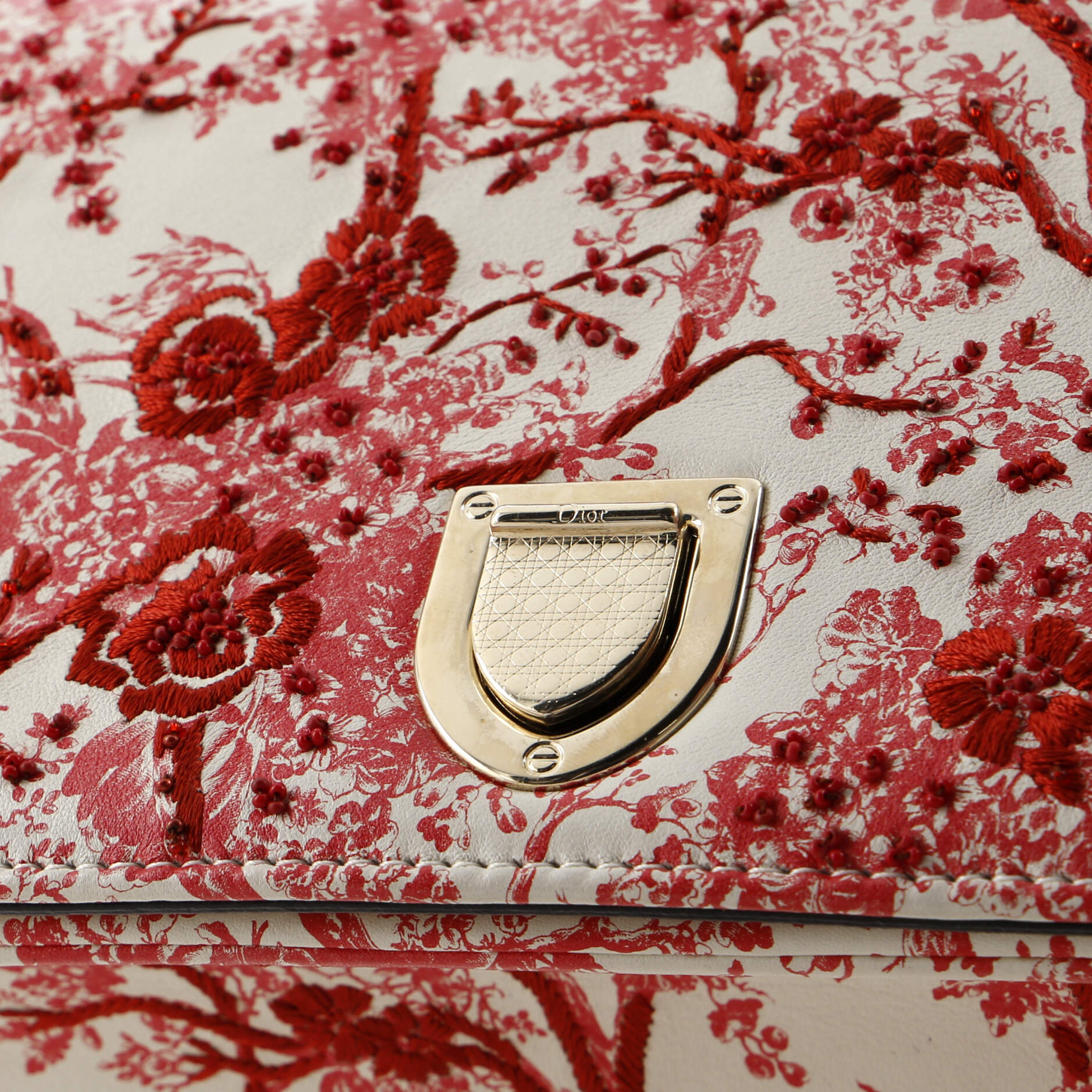 Toile De Jouy Diorama Flap Bag Printed Embroidered Leather Small