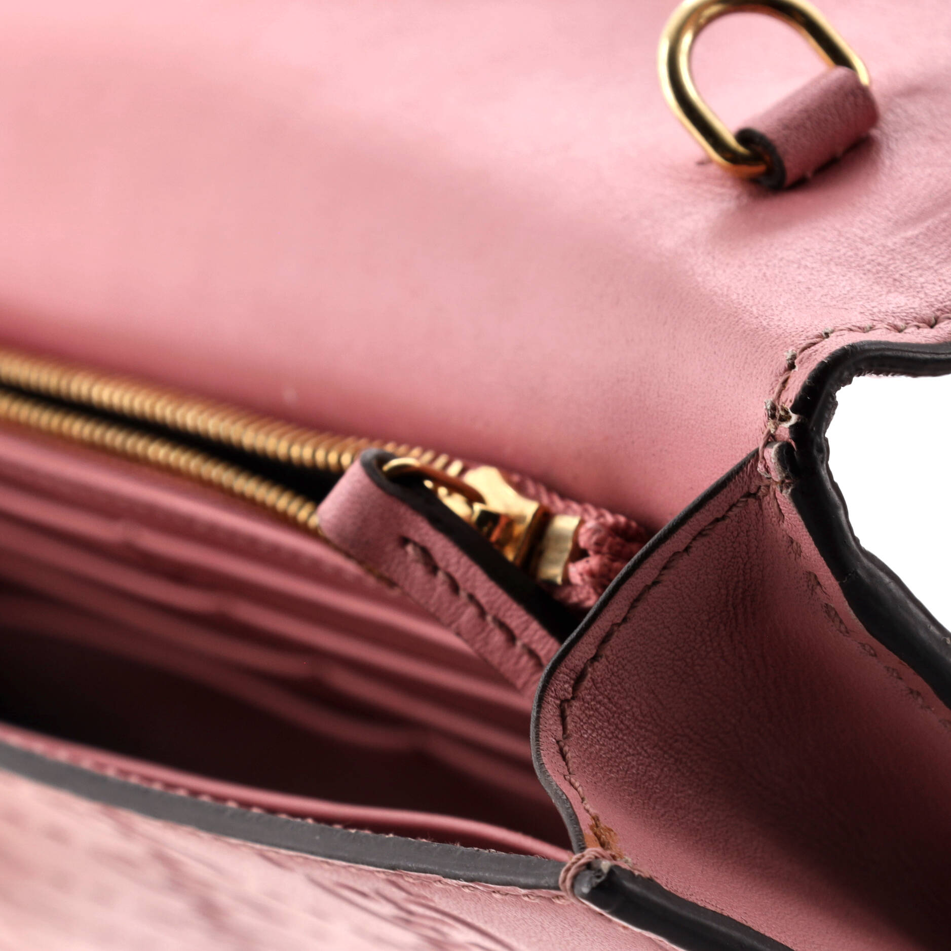 Icon Wallet On Chain Guccissima Leather
