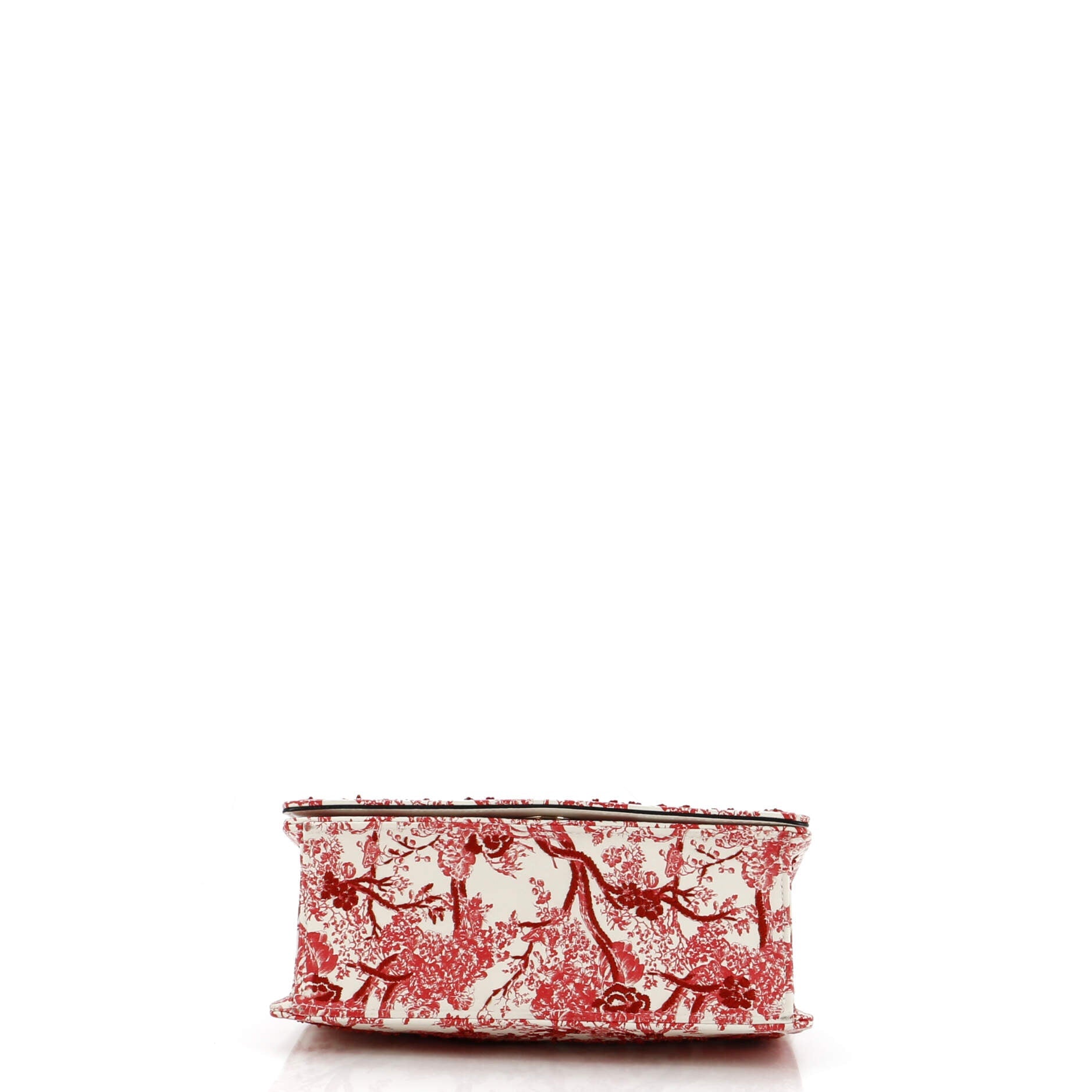 Toile De Jouy Diorama Flap Bag Printed Embroidered Leather Small