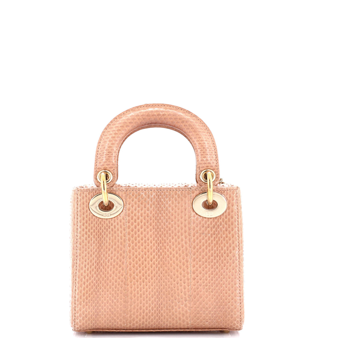 Lady Dior Chain Bag Python Mini