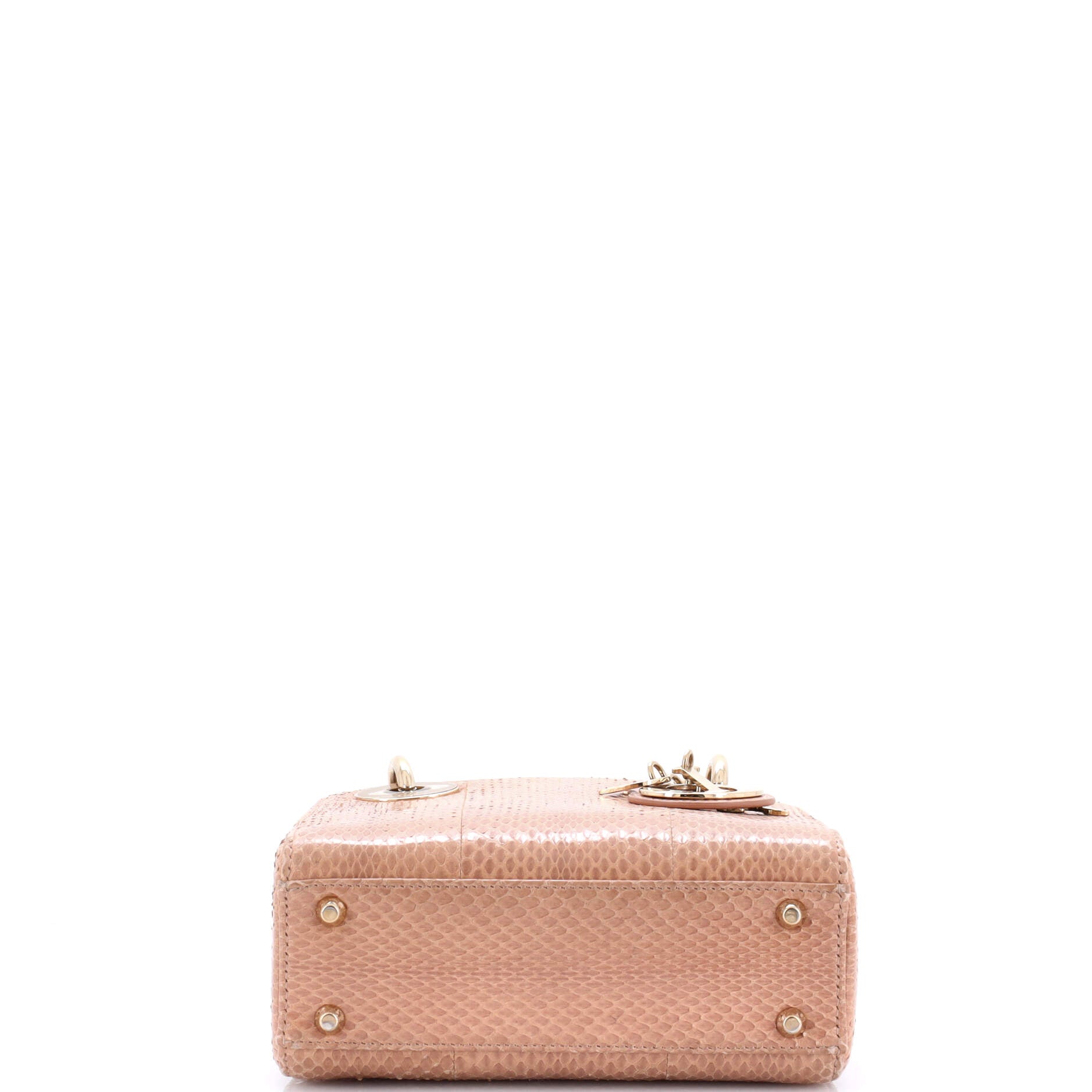Lady Dior Chain Bag Python Mini