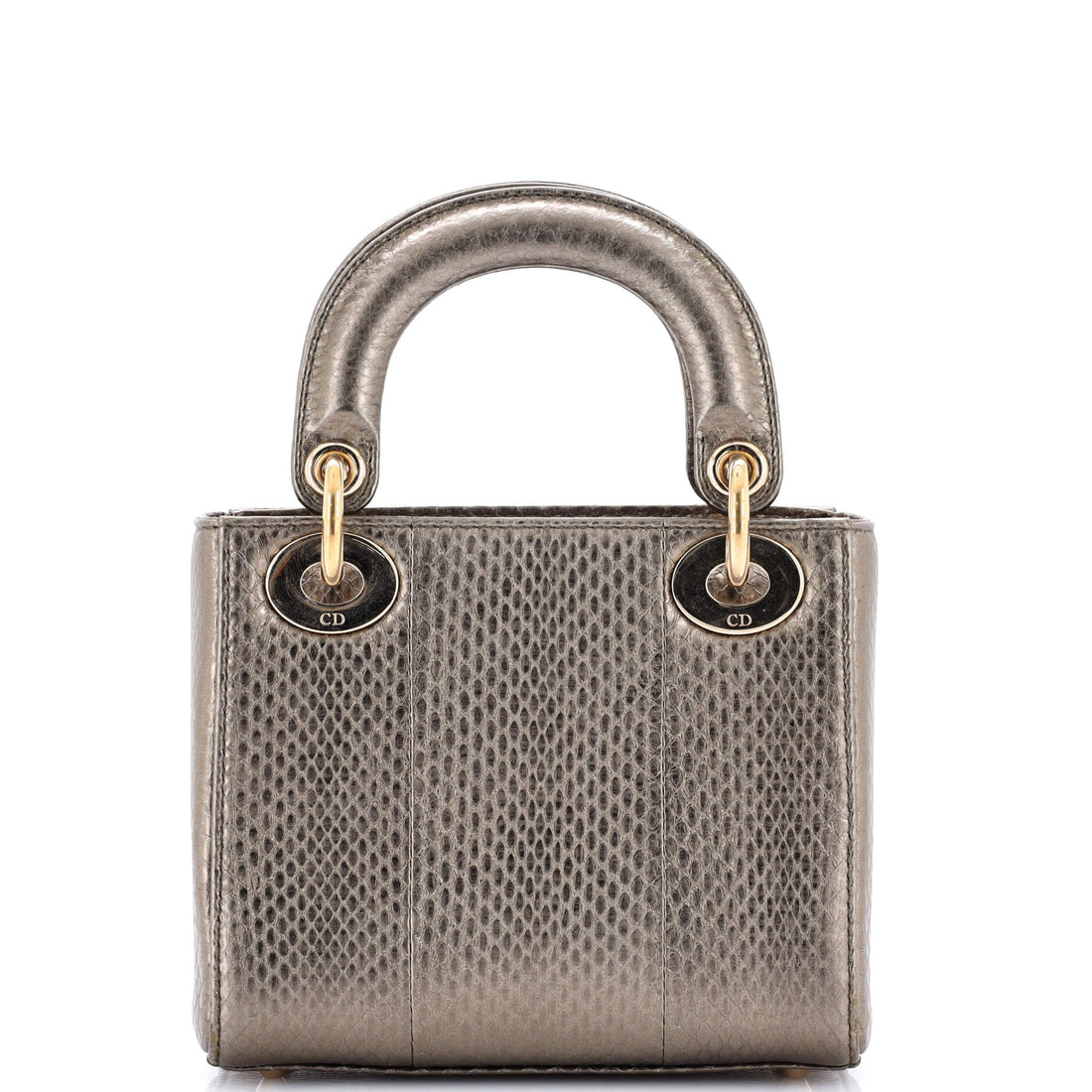 Lady Dior Chain Bag Python Mini