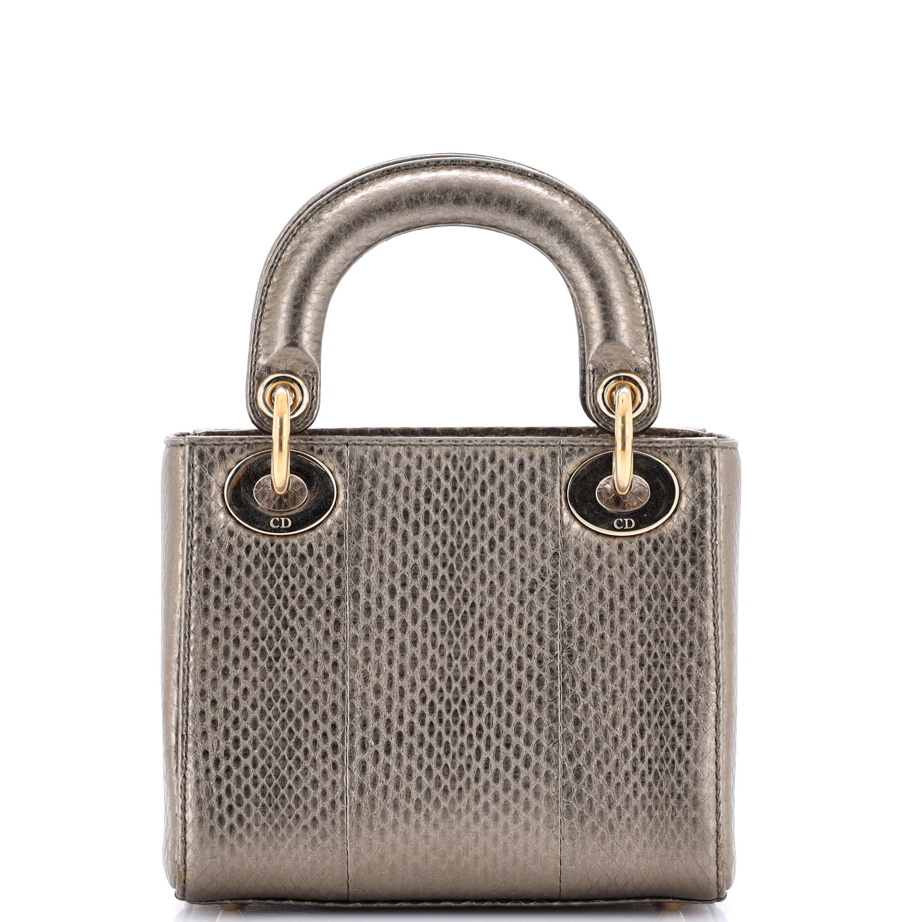 Lady Dior Chain Bag Python Mini