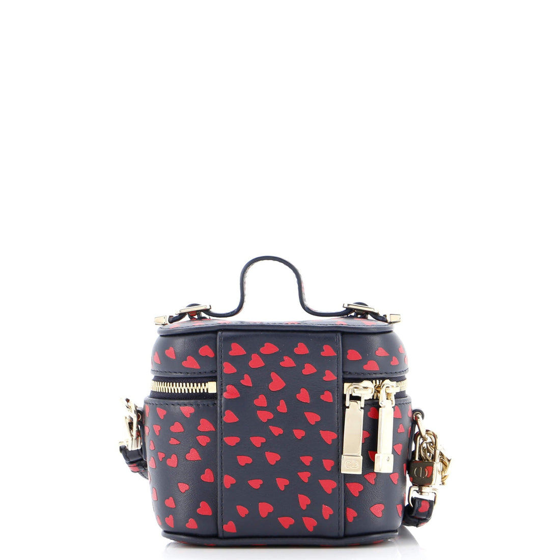 Lady Dior Vanity Case Printed Leather Micro