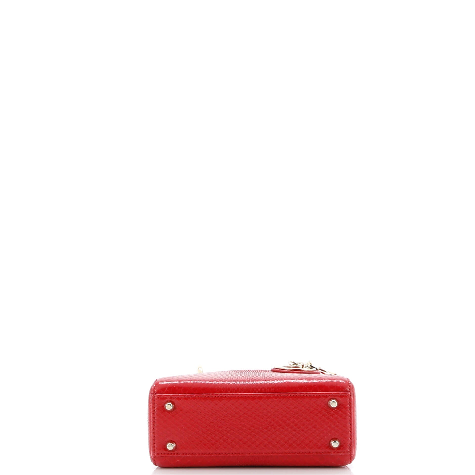 Lady Dior Chain Bag Python Mini