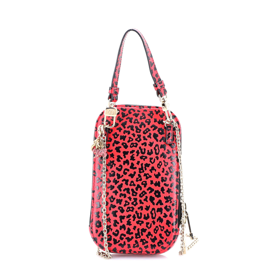 Lady Dior Phone Holder On Chain Printed Leather