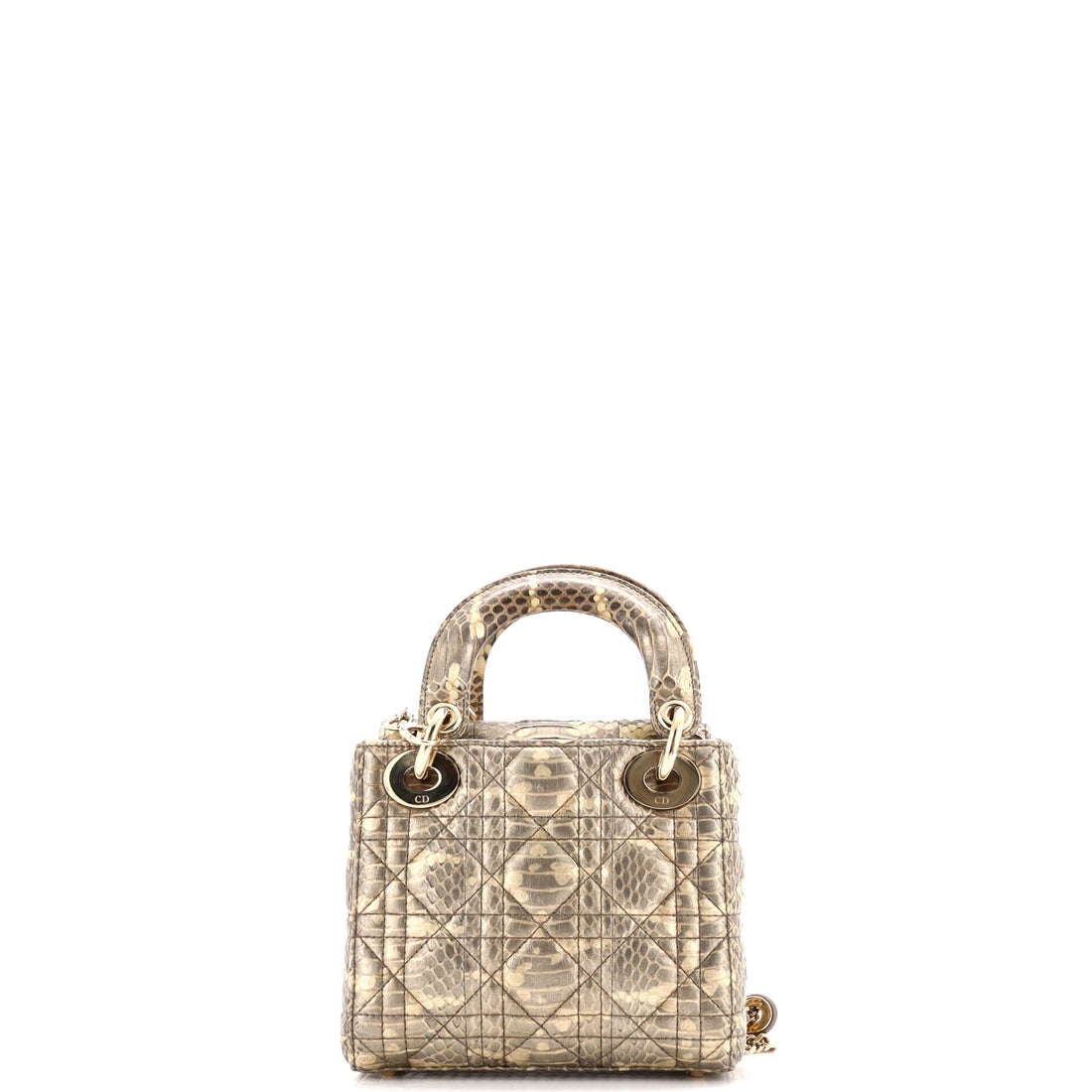 Lady Dior Chain Bag Python Mini